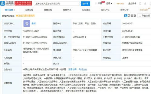 上海成立人工智能新公司 注冊(cè)資本1億人民幣，聚焦公共數(shù)據(jù)助力AI發(fā)展